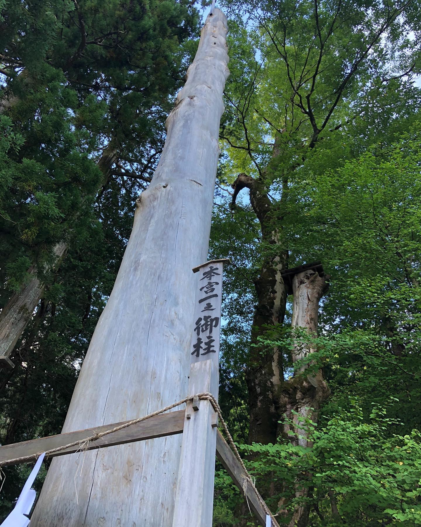 地元の神様に日々のご報告と感謝のご挨拶。久しぶりに訪れた諏訪大社は秋の心地よい風が流れていました。#諏訪大社 #諏訪大社上社本宮 #諏訪大社上社前宮 #御柱 #御柱祭 #ご挨拶 #感謝 #参拝 #諏訪 #八ヶ岳 #秋風