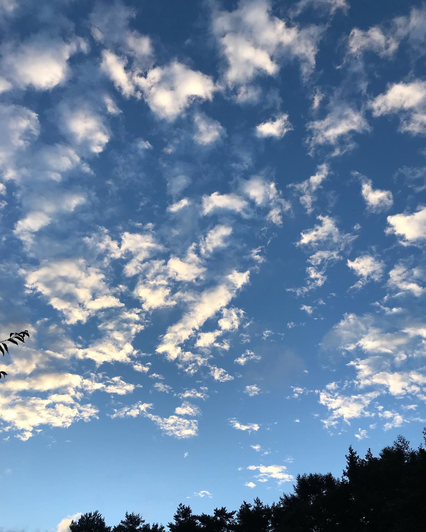 ついつい撮ってしまう空。気持ち良すぎますね〜#秋空 #突き抜ける #高い空 #秋の八ヶ岳 #薪ストーブの季節が待ち遠しい #もうすぐ薪ストーブの季節 #その前に #台風対策 #身の安全を第一に #乗り切ろう #薪販売 #ナラ薪 #クヌギ薪 #薪ストーブはライフライン#八ヶ岳の薪ストーブ専門店 #ストーブハウス原村 #八ヶ岳 #原村 #富士見 #蓼科