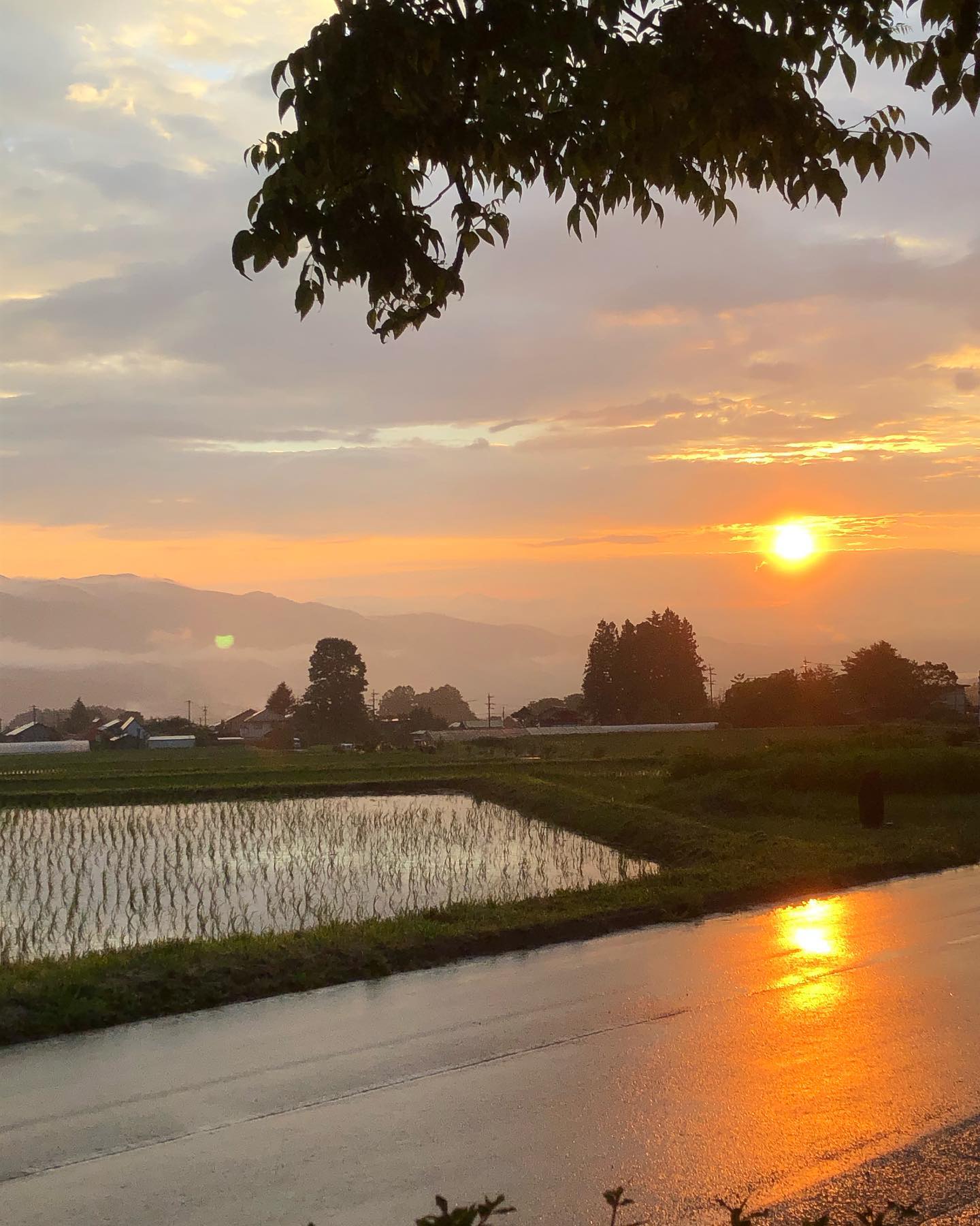 雨上がりの夕焼け#ストーブハウス原村 #薪ストーブ #薪ストーブのある暮らし #アウトドアギア #薪ストーブツール #アパレル #アウトドアアパレル #暮らしの道具 #キッチンウェア #ガーデンツール #荒物屋 #食品 #自然食品 #有機食品 #セレクトショップ #山の暮らしのお手伝い #八ヶ岳の薪ストーブ専門店#キャンプ#キャンプギア #原村 #富士見 #蓼科 #八ヶ岳 #ゆうやけ #ゆうやけ空 #ゆうやけこやけ #田植え@stovehouse.woodstove