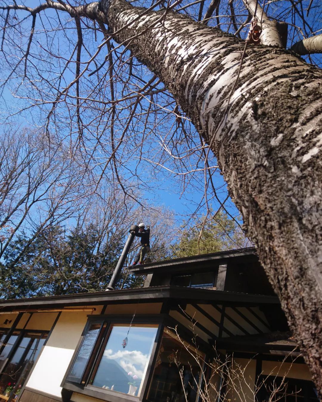 穏やかな晴天。冬は木々の葉が落ち、屋根からは南アルプス一望です。四季折々の景色も楽しめる煙突掃除は気分爽快️#ストーブハウス原村 #薪ストーブ#八ヶ岳の薪ストーブ専門店 #煙突#南アルプス#北杜市#山梨県#長野県#風景#里山#冬#四季#桜#サクラ#民家#アウトドア#キャンプ#こだわり#セレクトショップ#ライフスタイル#ライフライン