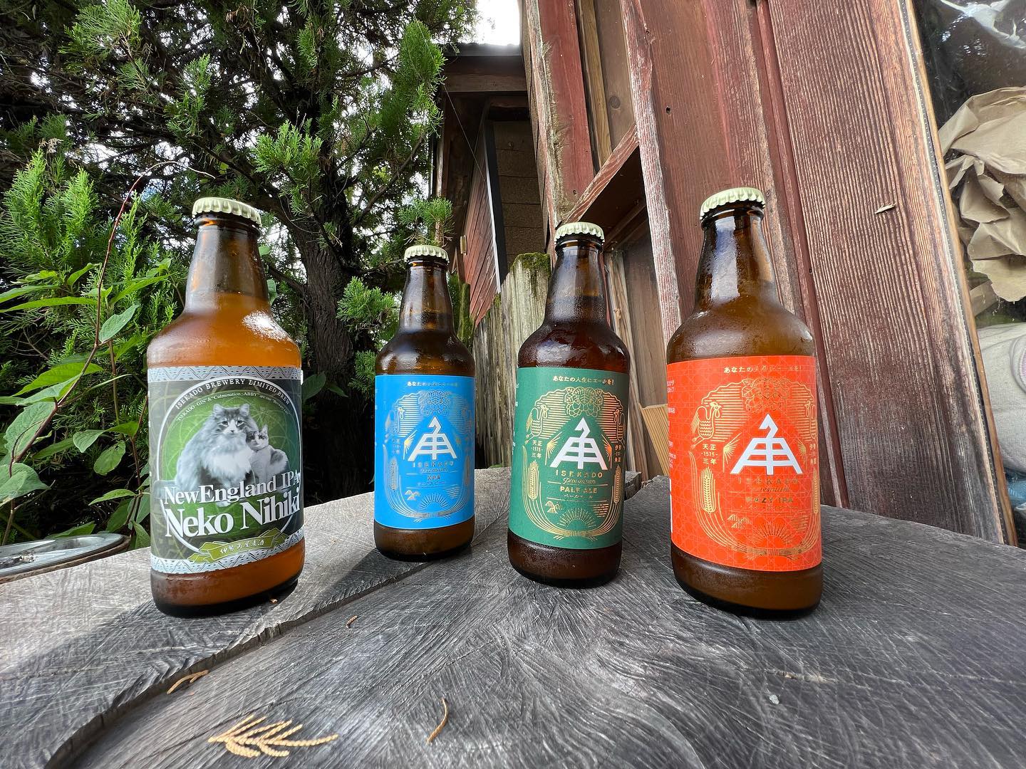 ビール連投です言わずと知れたクラフトビール界の老舗の醸造所、伊勢角屋麦酒HAZY IPA 2種XPAPALE ALEと4種入荷時なく飲むべし（決して面倒になったわけではない！！！）#伊勢角屋麦酒 #お伊勢さん #お伊勢参り #ipa #クラフトビール #缶ビール #ここからが #ビールシーズン開幕 #キャンプ #バーベキュー #アウトドア #ブッシュクラフト #とりあえず #とりあえずビール #ではなく #狙い撃ち#ビール #スタンドエイト #ビールスタンド八ヶ岳#ビール量り売り #八ヶ岳 #ストーブハウス原村