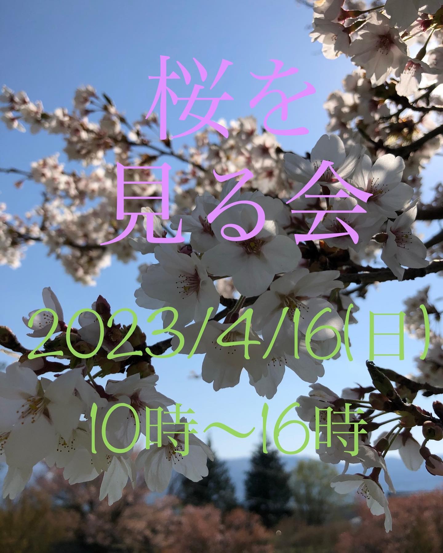 Stovehouse春1番目のイベント「桜を見る会」日程のお知らせとなります詳細はひとつ前の投稿をご確認ください心よりお待ちしております#春#花見 #八ヶ岳と#桜 #桜を見る会 #ストーブハウス原村 #焼き鳥 #串せん#クラフトビール #飲み放題 #イベント #tentipi #tentipijapan #ニンバス #テント泊 #車中泊 #乾杯 #飲みすぎましょう