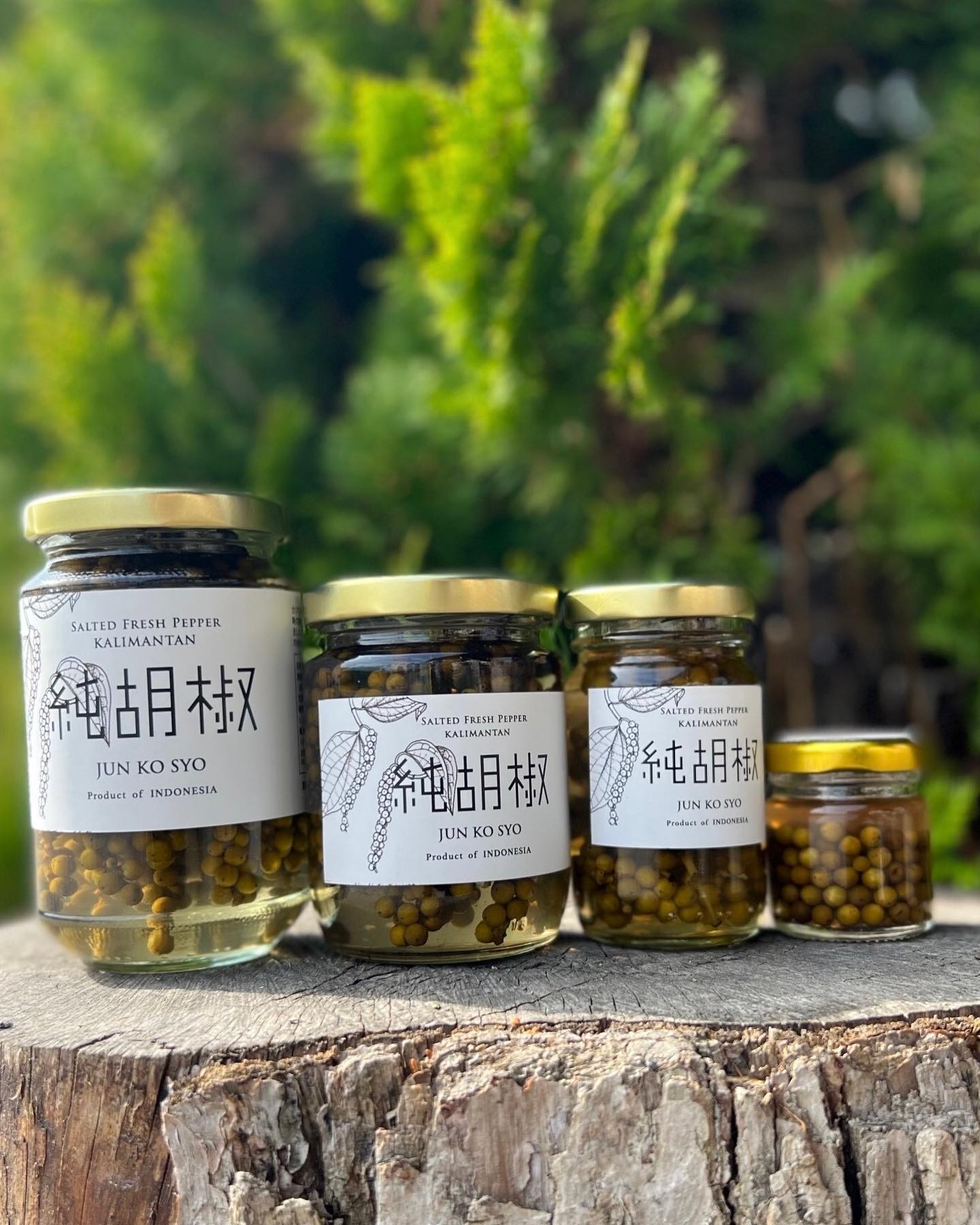 〜そのまま食べる生の胡椒〜「純胡椒」再入荷しました！！！ 摘みたてのみどりの胡椒を新鮮なうちに房ごと塩水漬けにした胡椒。肉料理、魚料理、蒸し野菜、いつもの料理をさらに美味しくするスパイスです！！卵かけご飯、おにぎりにプラスするのもオススメ#ストーブハウス原村#八ヶ岳#原村#キャンプ #アウトドア#バーベキュー#親子でキャンプ#ソロキャンプ #インドネシア#ローストビーフ#ムニエル#ポテトサラダ#オムレツ#おにぎり#たまごかけごはん #スパイス#純胡椒#純胡椒がホントに美味しい#仙人spice #リピート #リピ買い